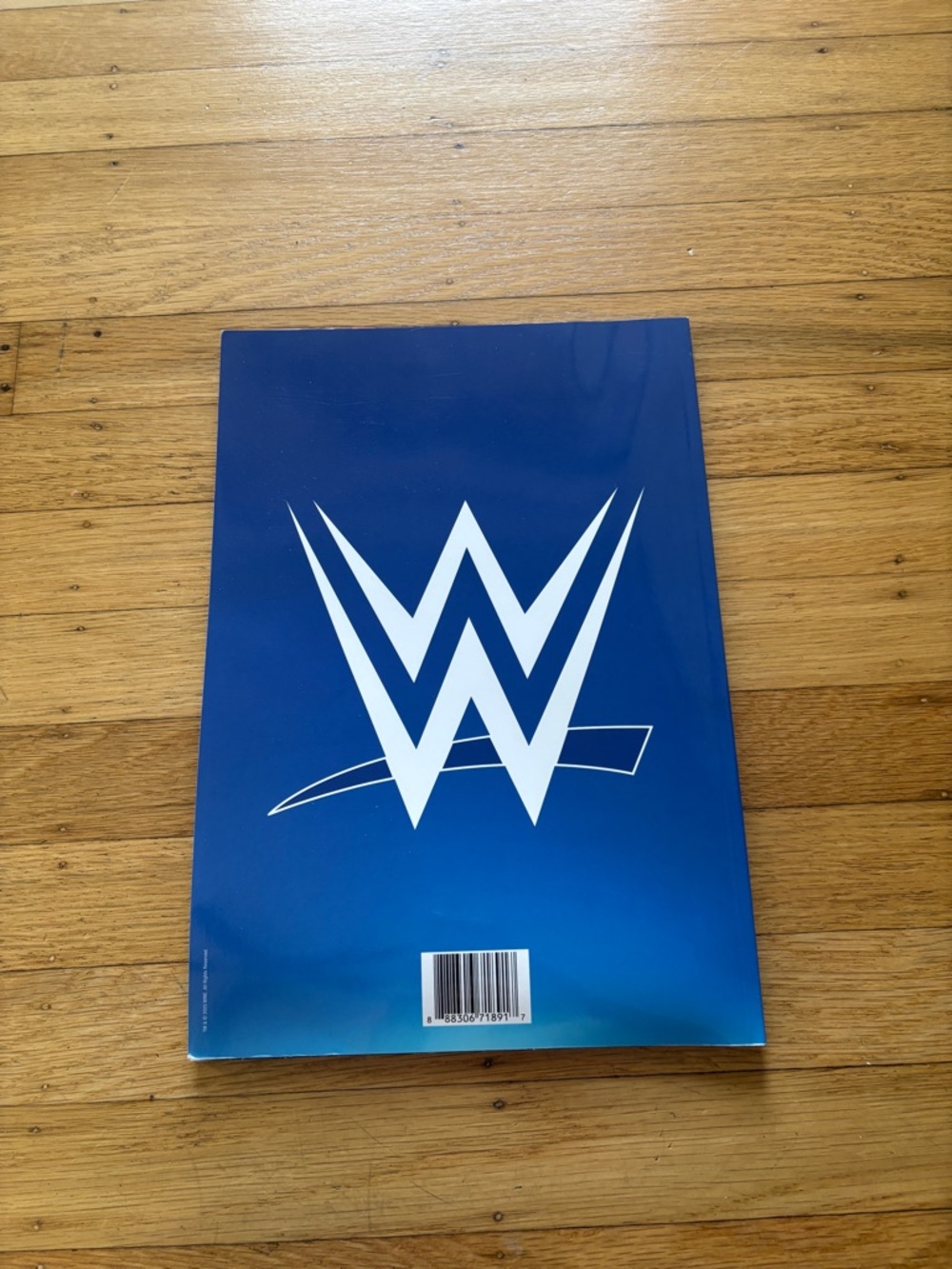 WWE 2025 Royal Rumble Program Magazine - Picture 2 of 2